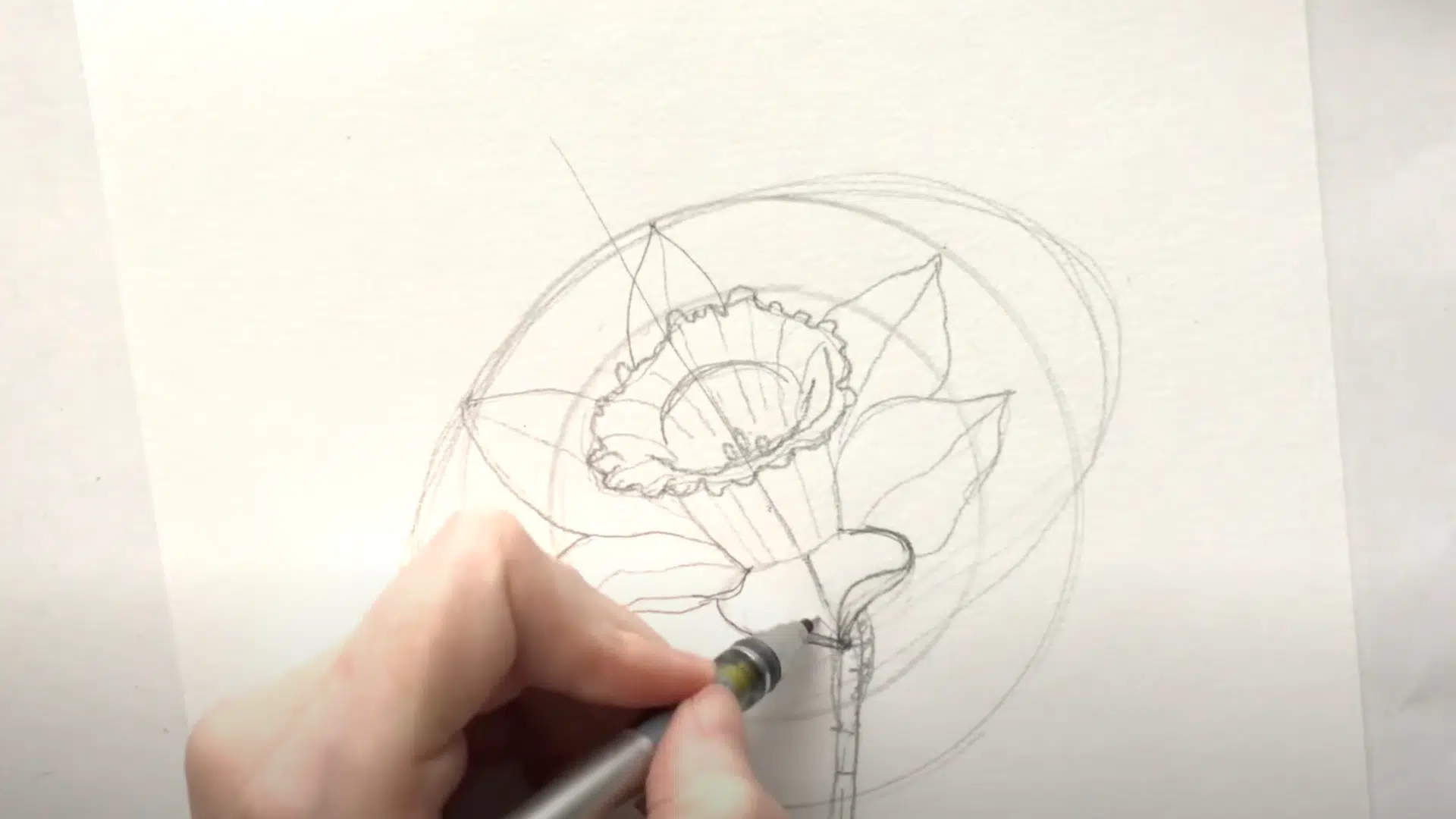 Petals_with_Realistic_Details