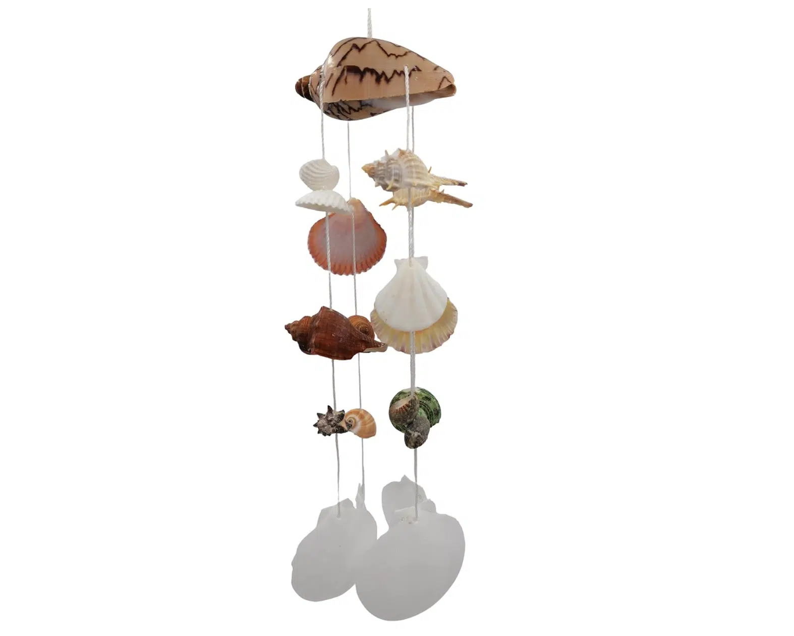 Seashell Wind Chimes by Generic
