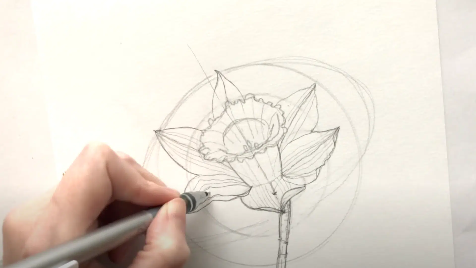 Showing_Veins_and_Texture