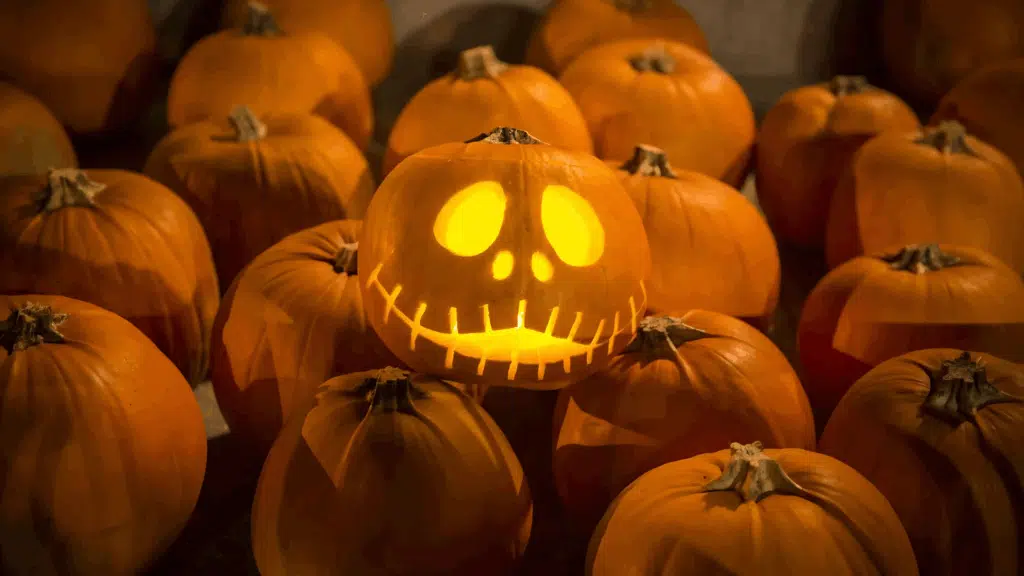 Spooky Halloween Words for Your Kids This Season