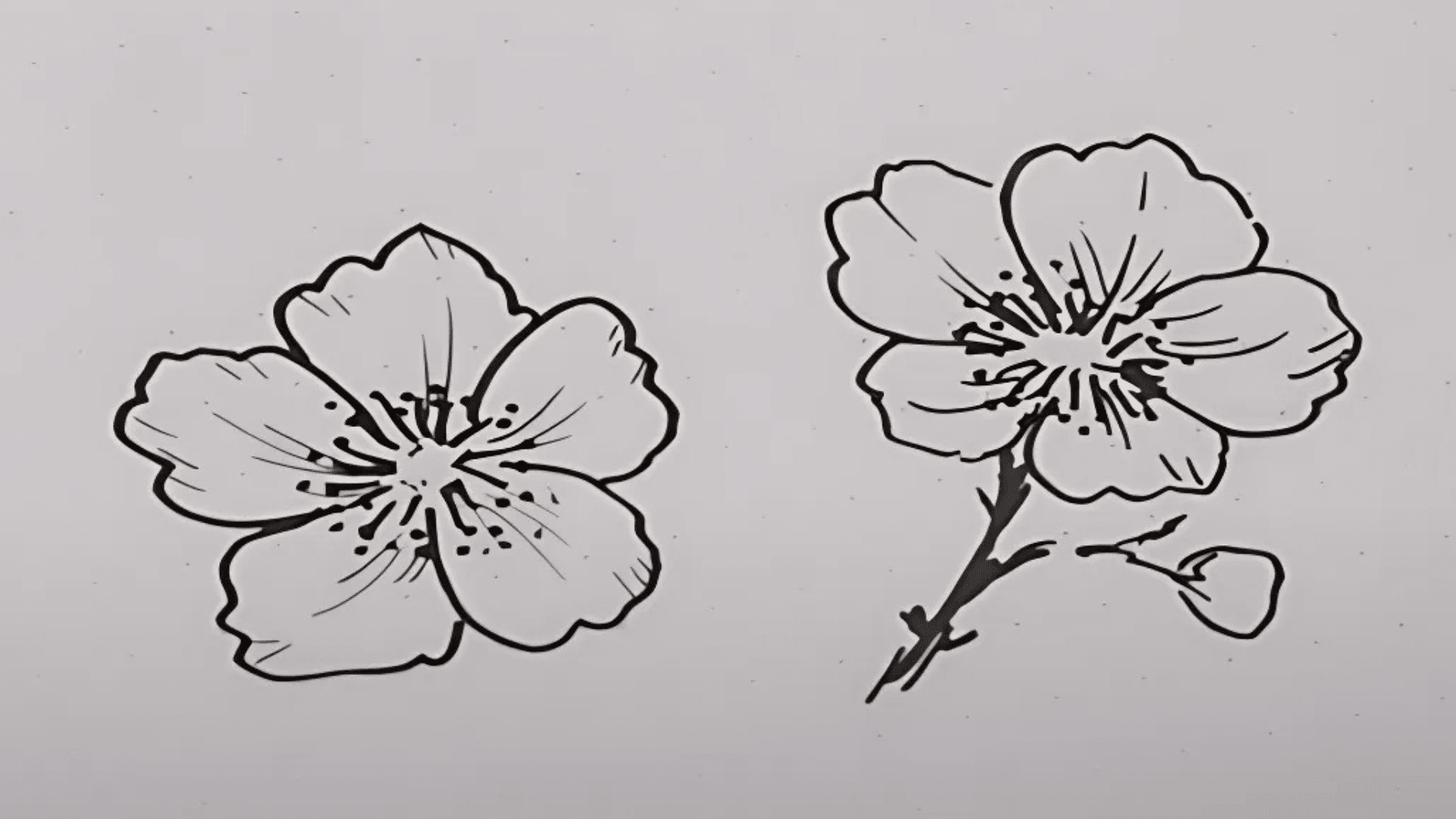 Step_5_Trace_and_Shade_the_Flower