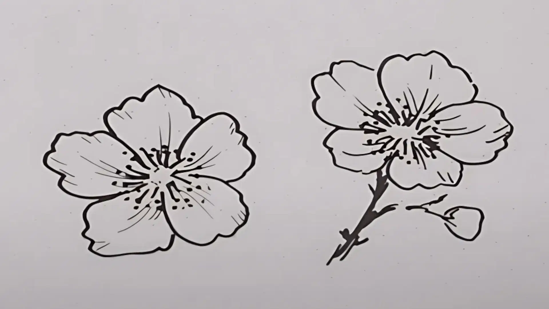 Step_5_Trace_and_Shade_the_Flower