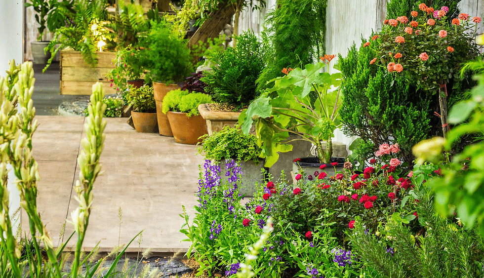 Pick Plants That Thrive in Your Local Climate