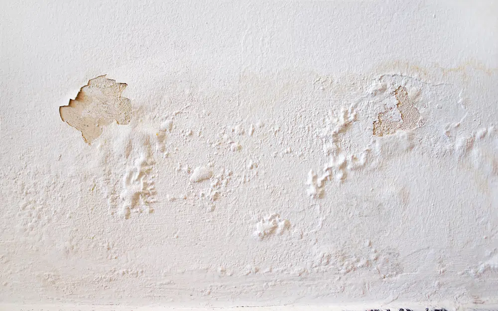 Paint is Peeling or Chipping