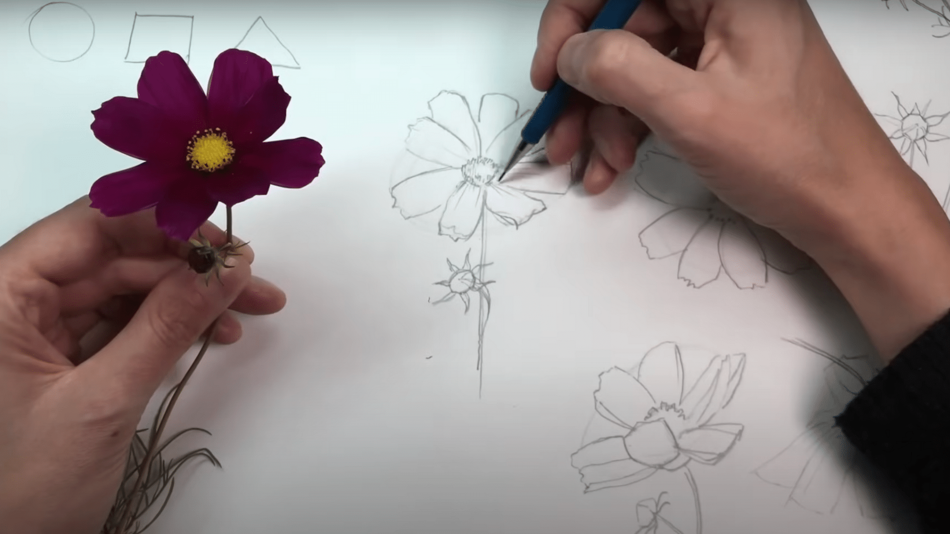 Add Detail, Texture, and Shadow