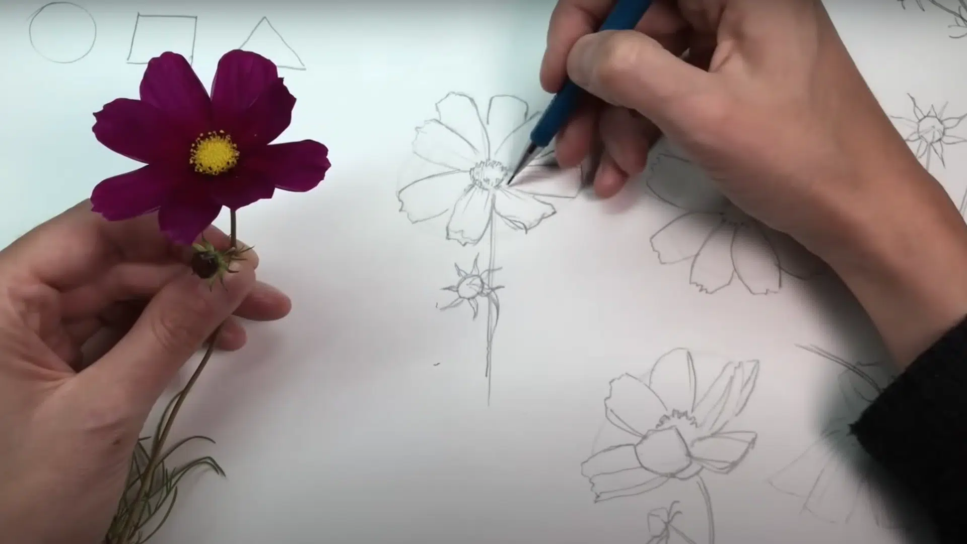 Add Detail, Texture, and Shadow
