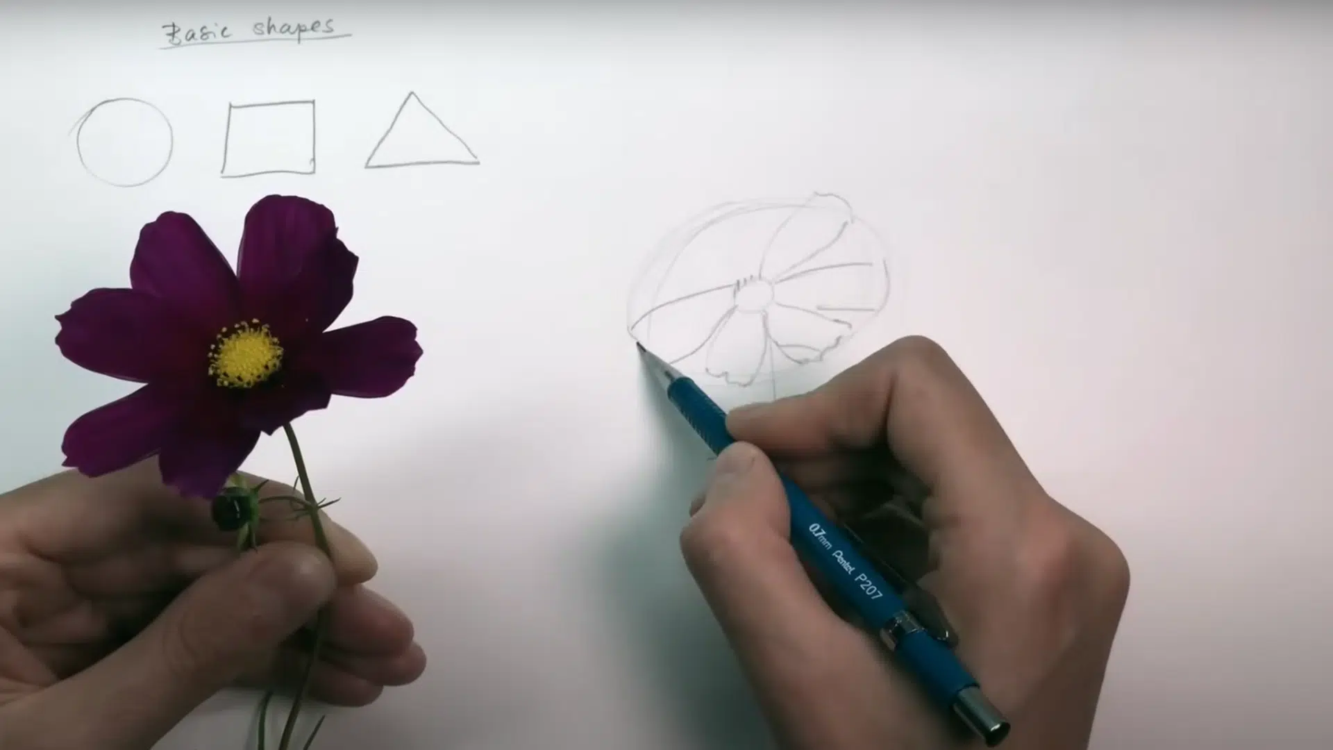 Break Everything into Simple Shapes