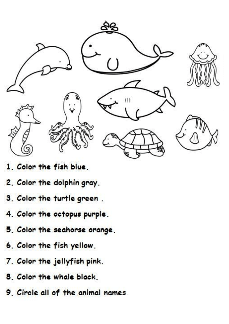 Color as Per the Instructions