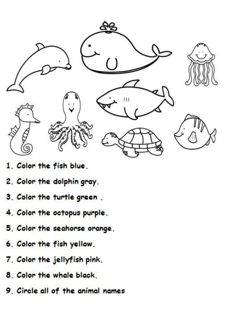 Color as Per the Instructions