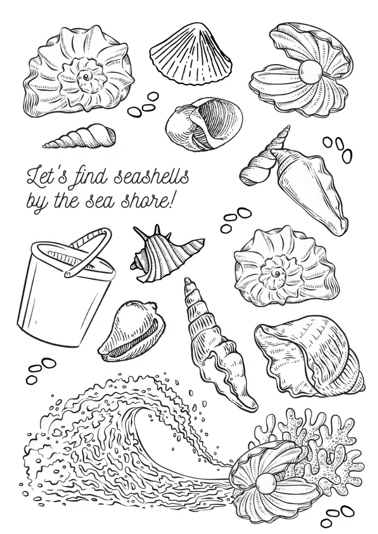 Coloring the Seashells