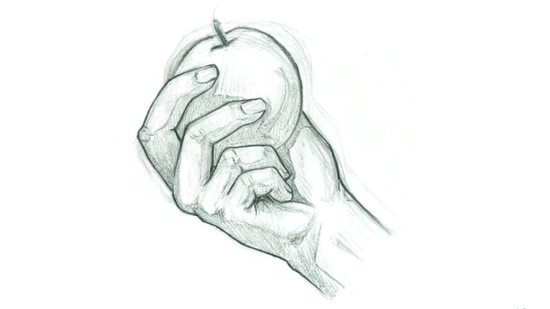 Hands Holding Objects