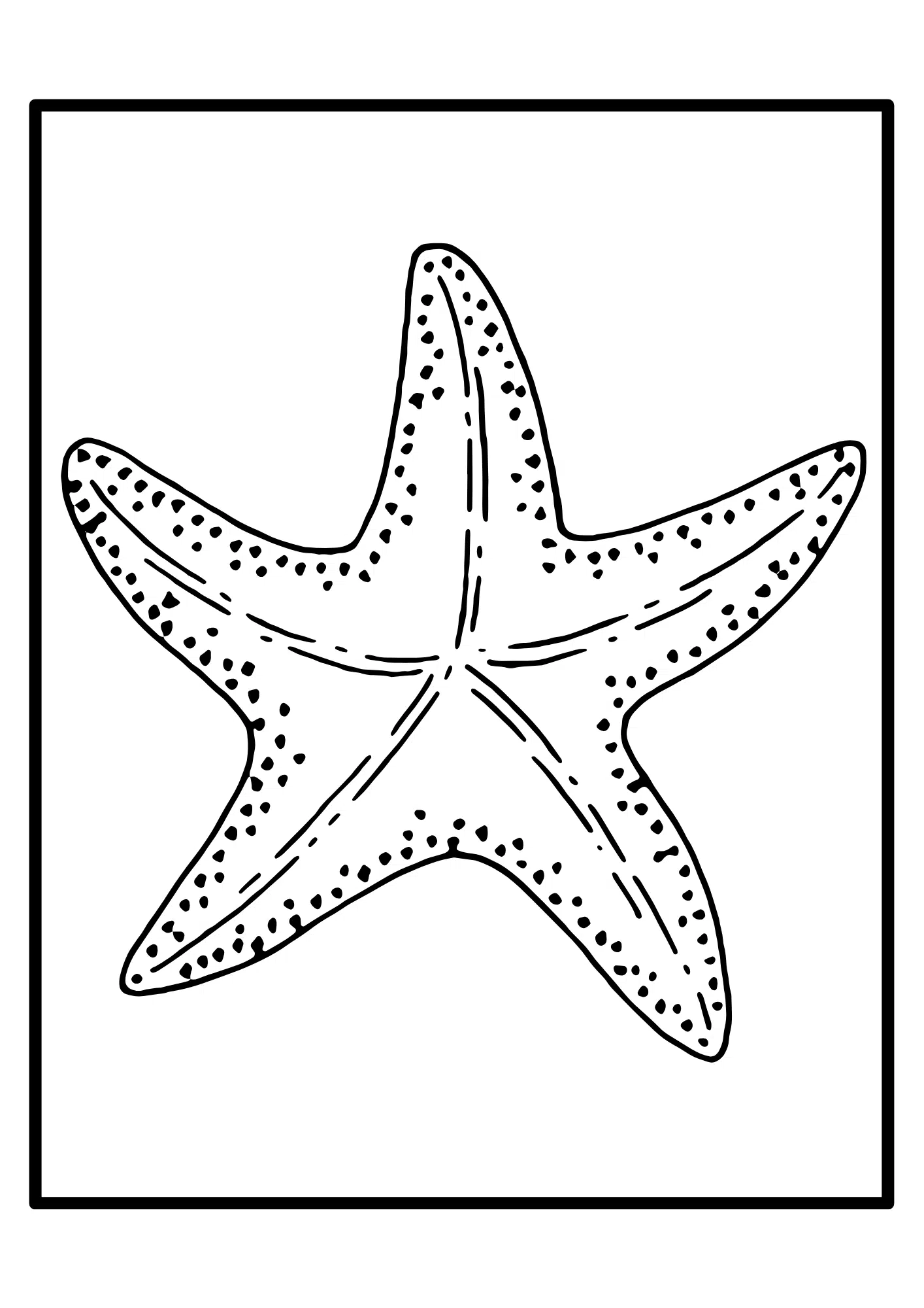 Jumbo Starfish for Group Projects
