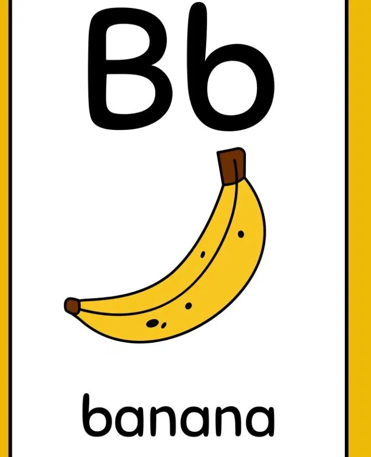 _Letter-B-flashcards