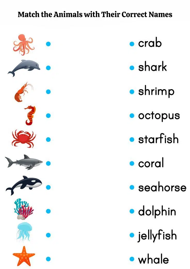 Matching The Animals