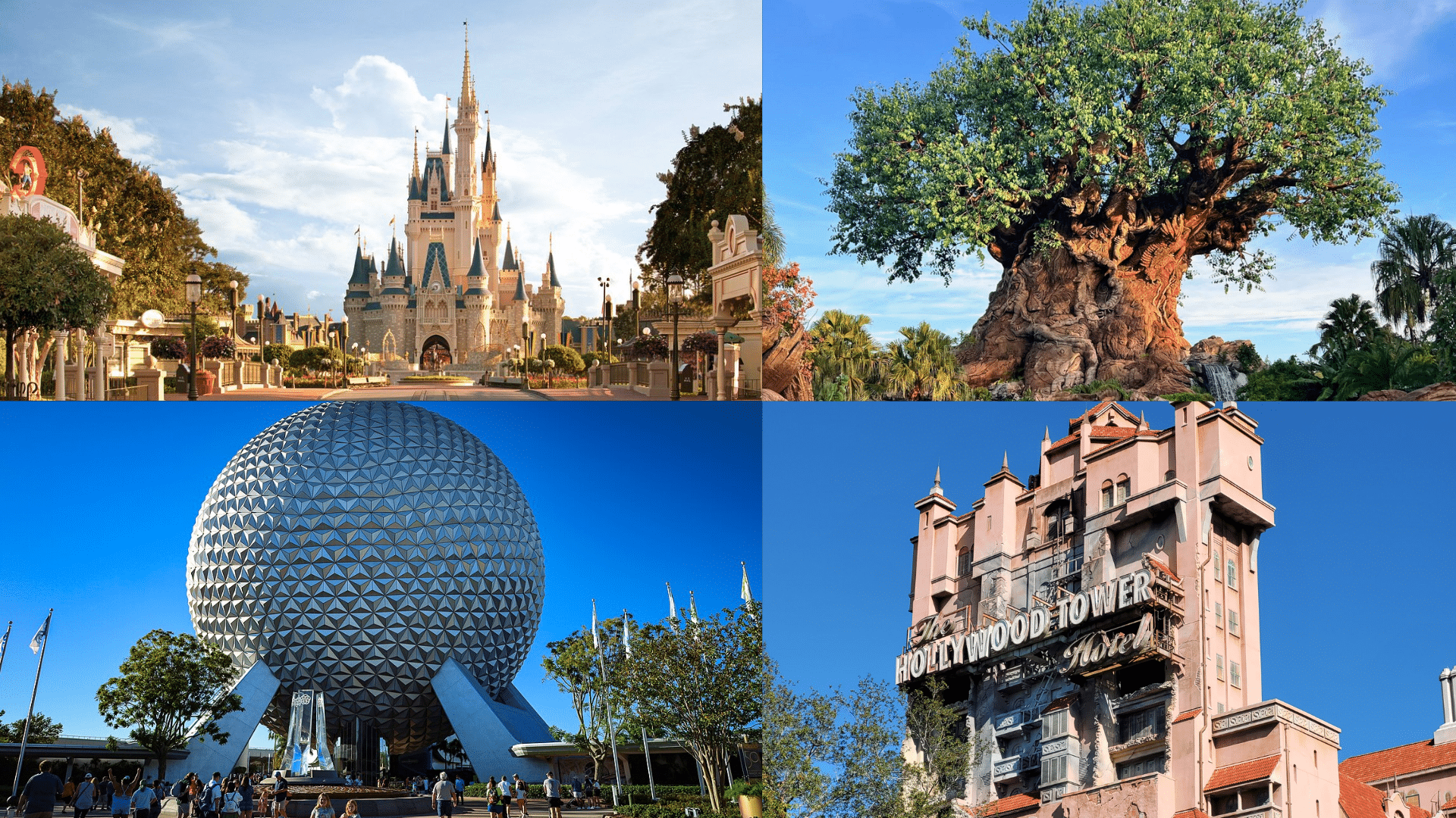 Park-Specific_Facts_That_Make_Every_Visit_Unforgettable
