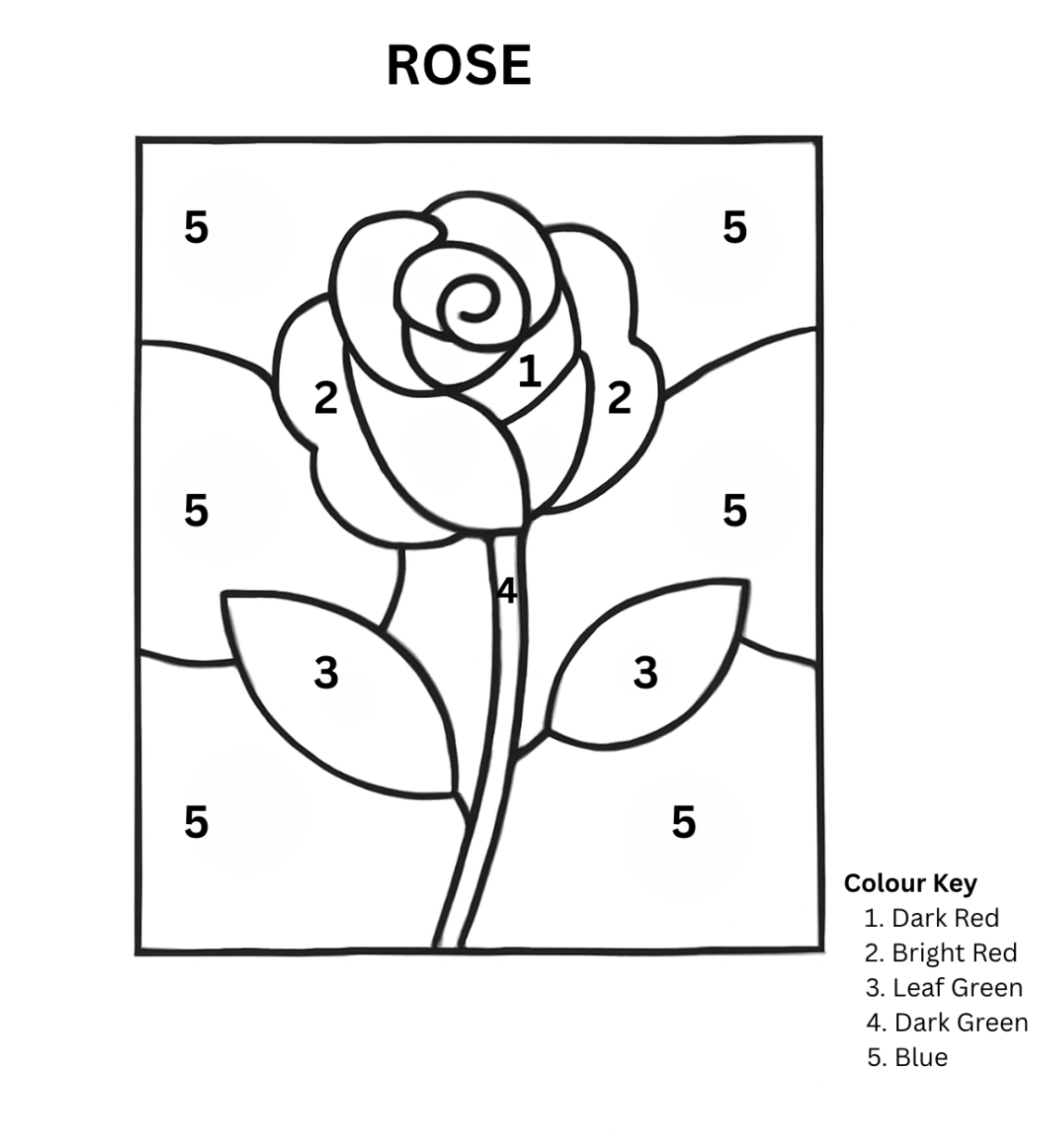 Rose