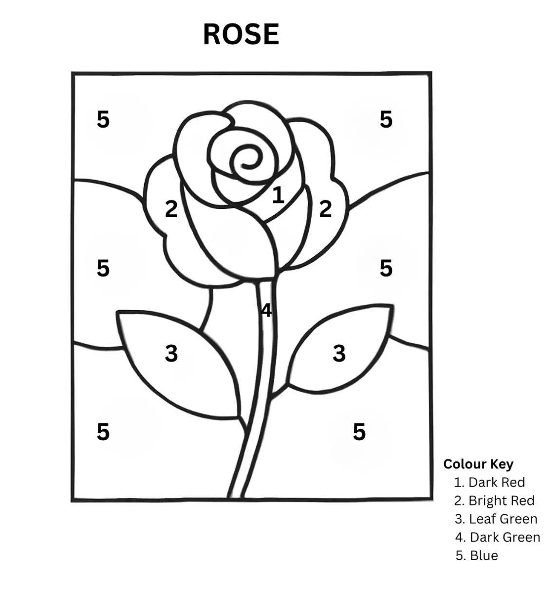 Rose