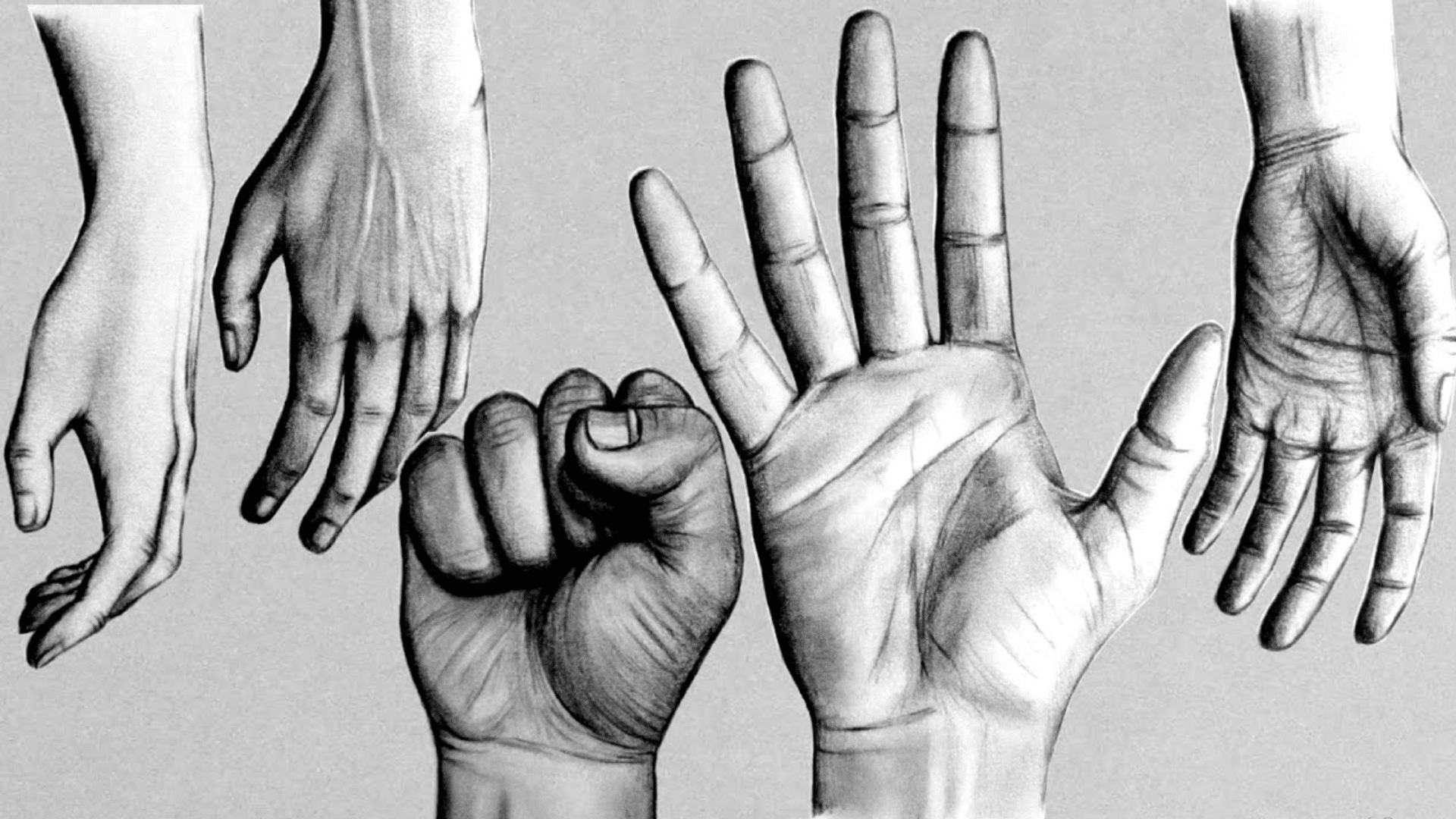 Shaded Realistic Hands