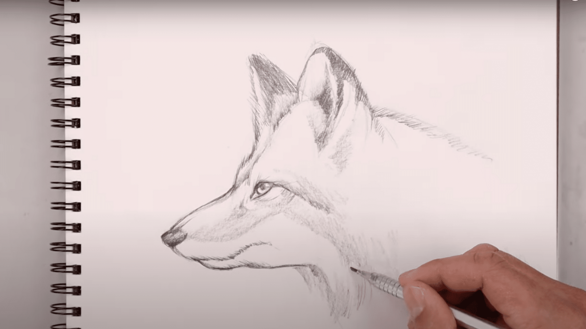 Step_6_Emphasize_Fur_and_Shadows