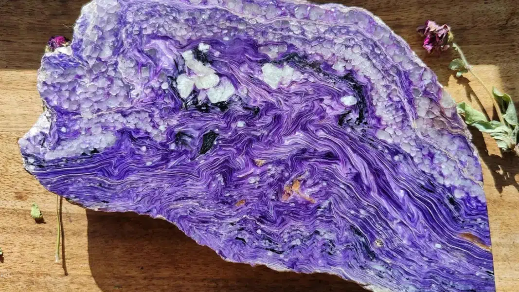 The Origins of Violet