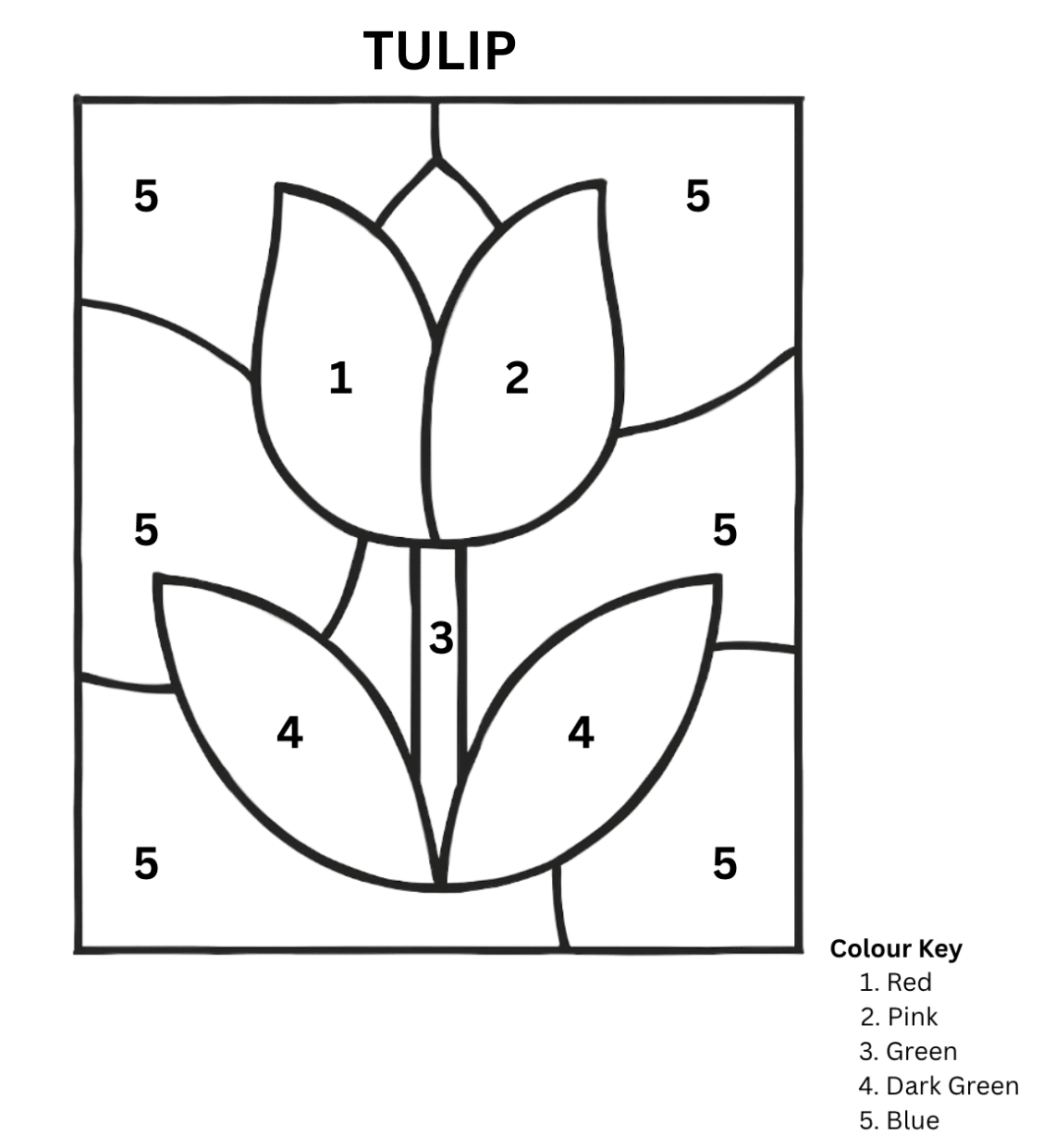 Tulip
