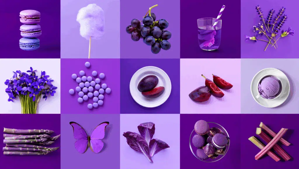 Voilet Color Meaning in Life and Design