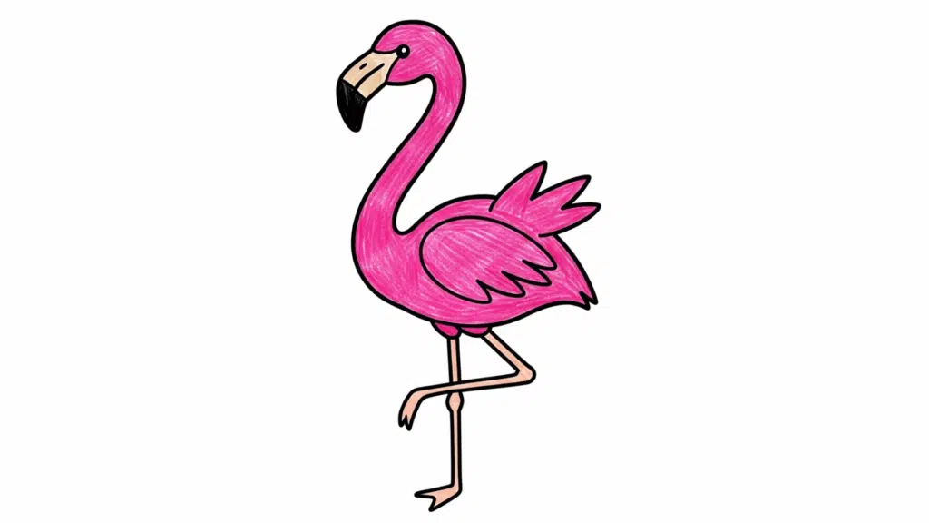 how to draw a flamingo easy