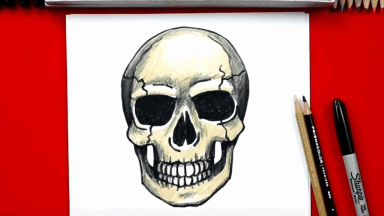 skull drawing step by step