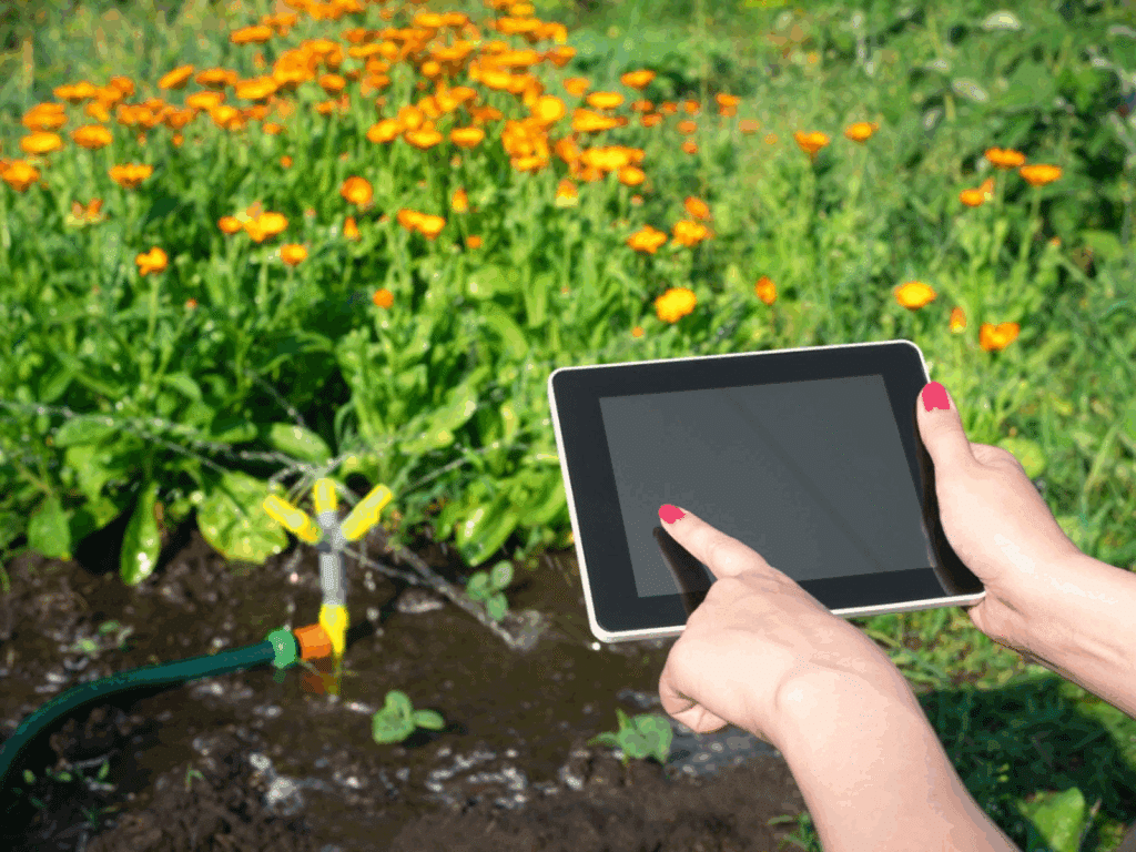 Smart Watering Techniques