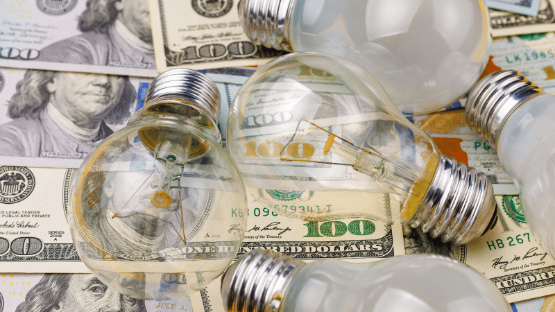 bulbs put in money