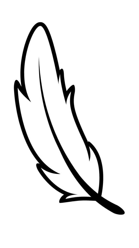 1. Curved Quill Feather