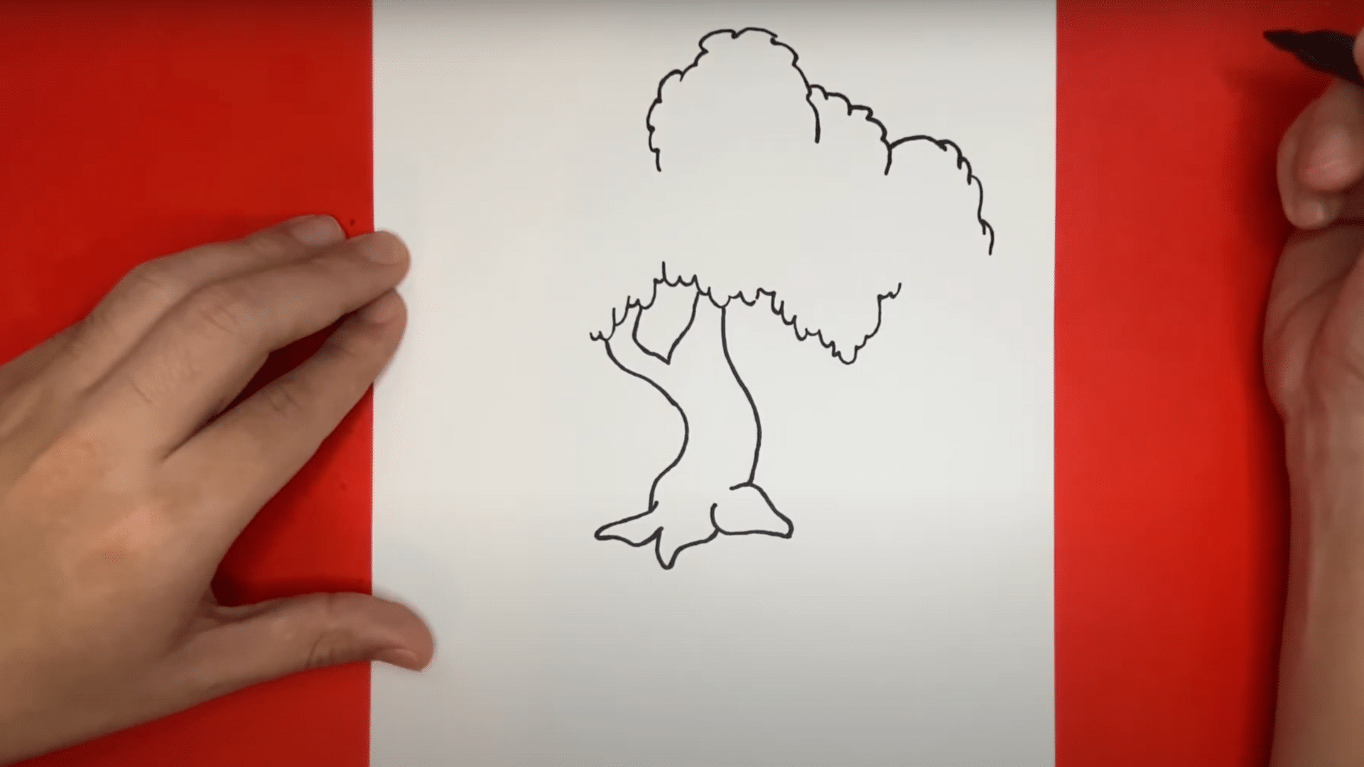 5. Sketch the Top Crown of the Tree (1)