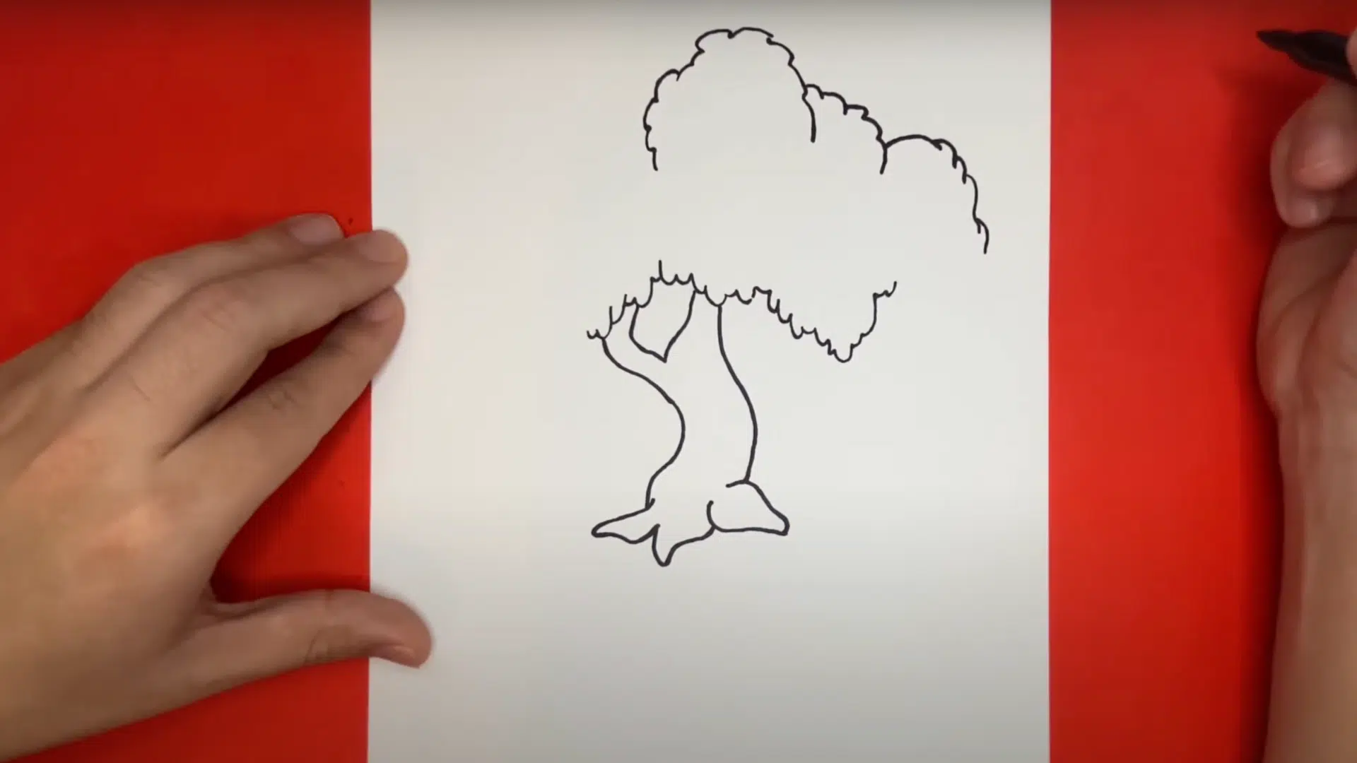 5. Sketch the Top Crown of the Tree (1)