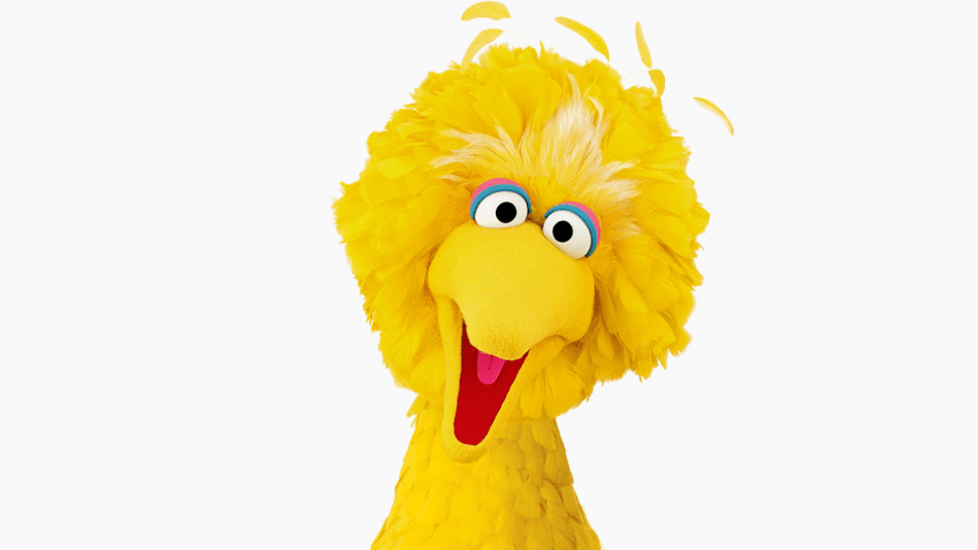 Big Bird