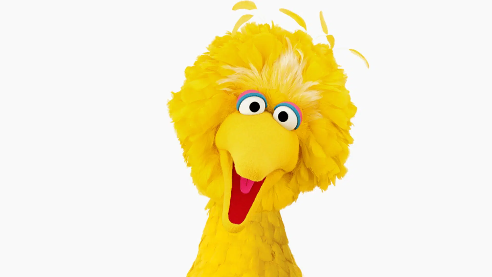 Big Bird