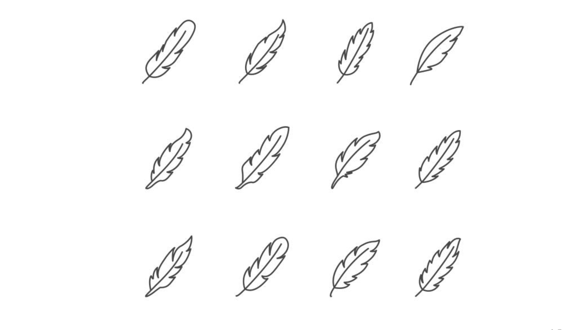Feather