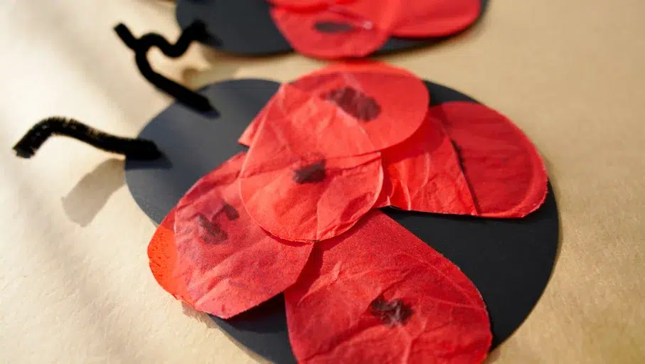 Ladybug Tissue Paper Craft