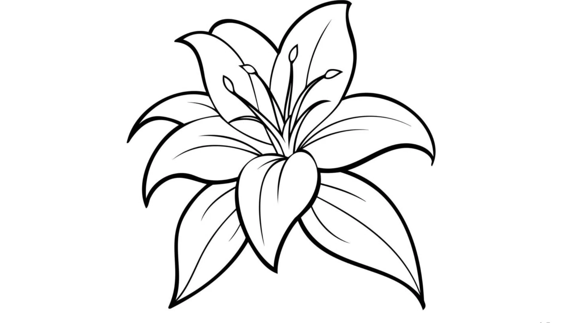 Lily with Stamen Details