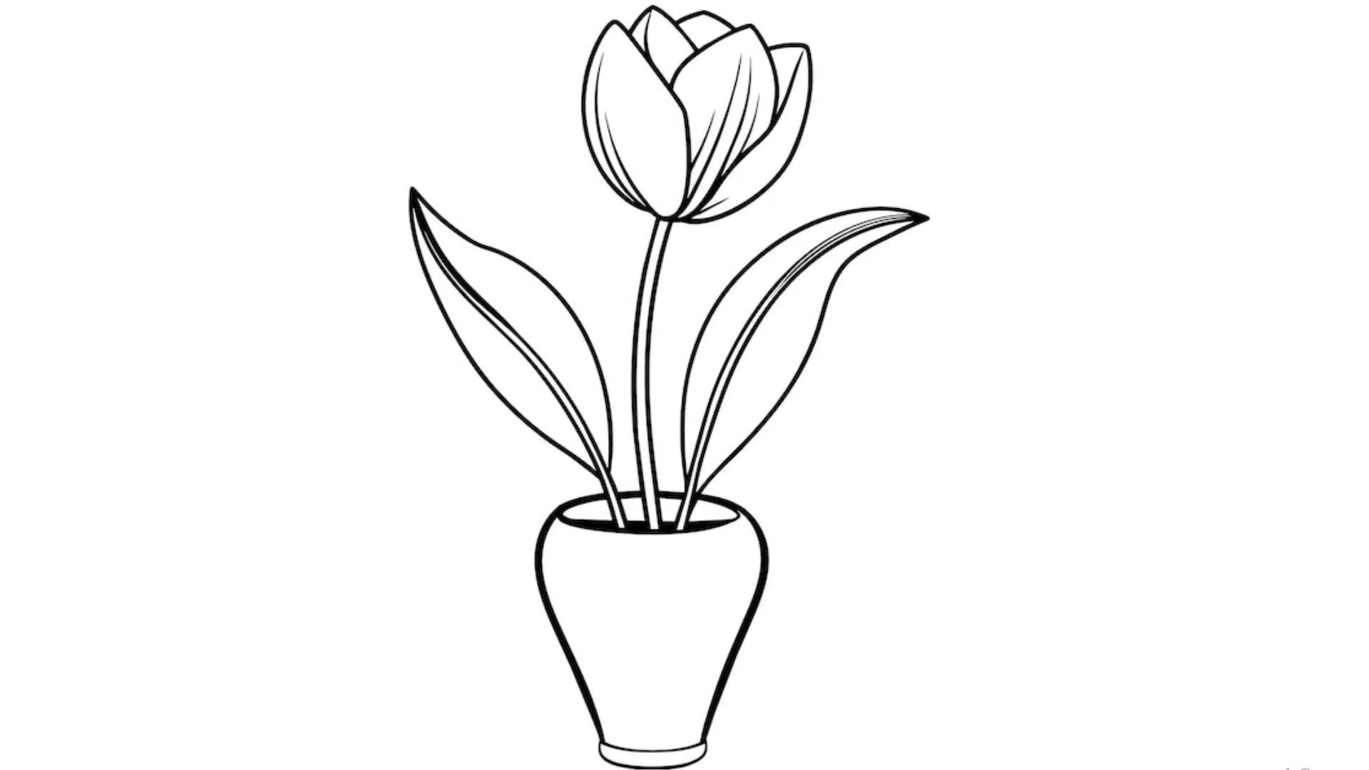 Mini Tulip in a Bud Vase