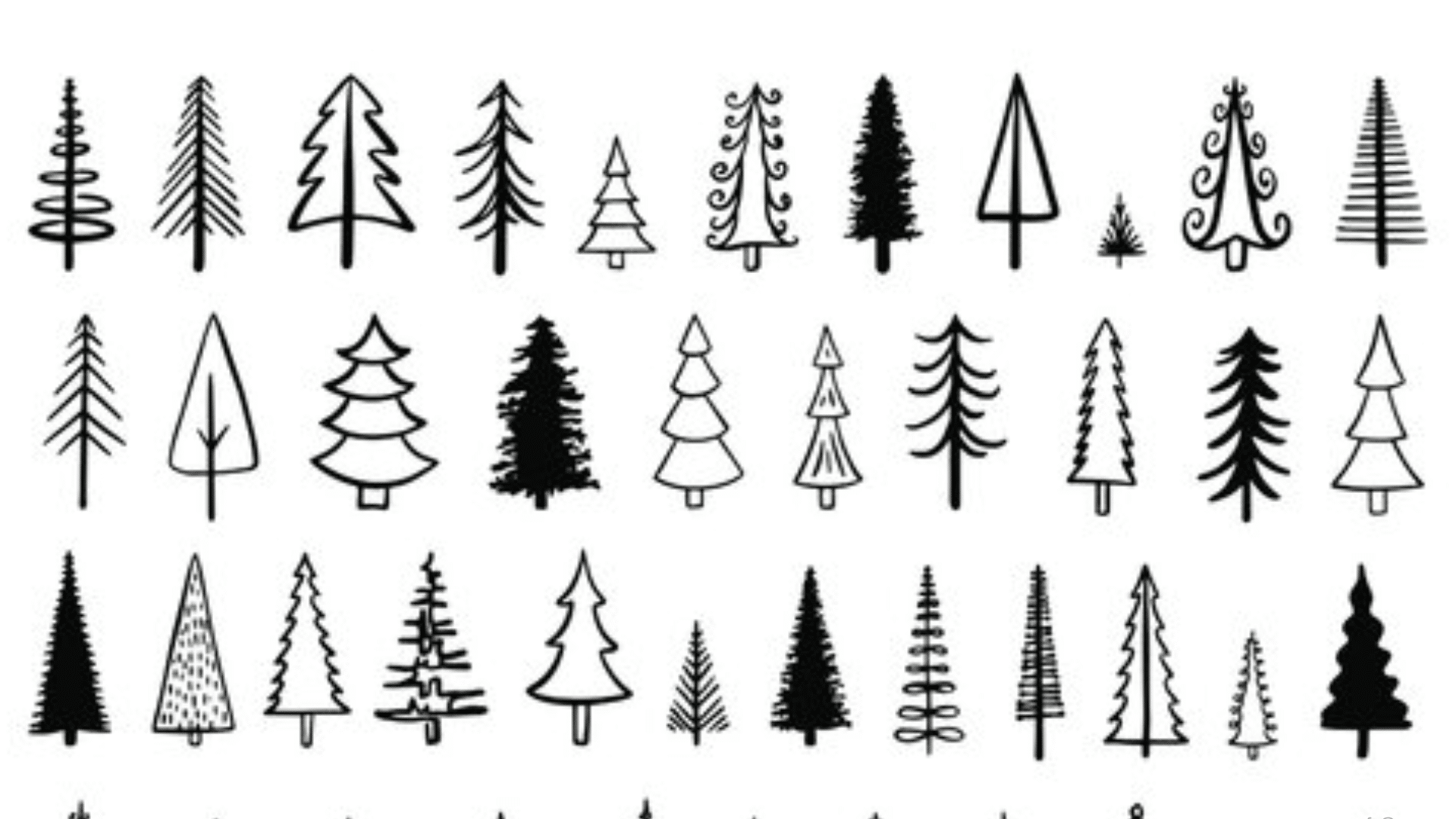 Pine Tree