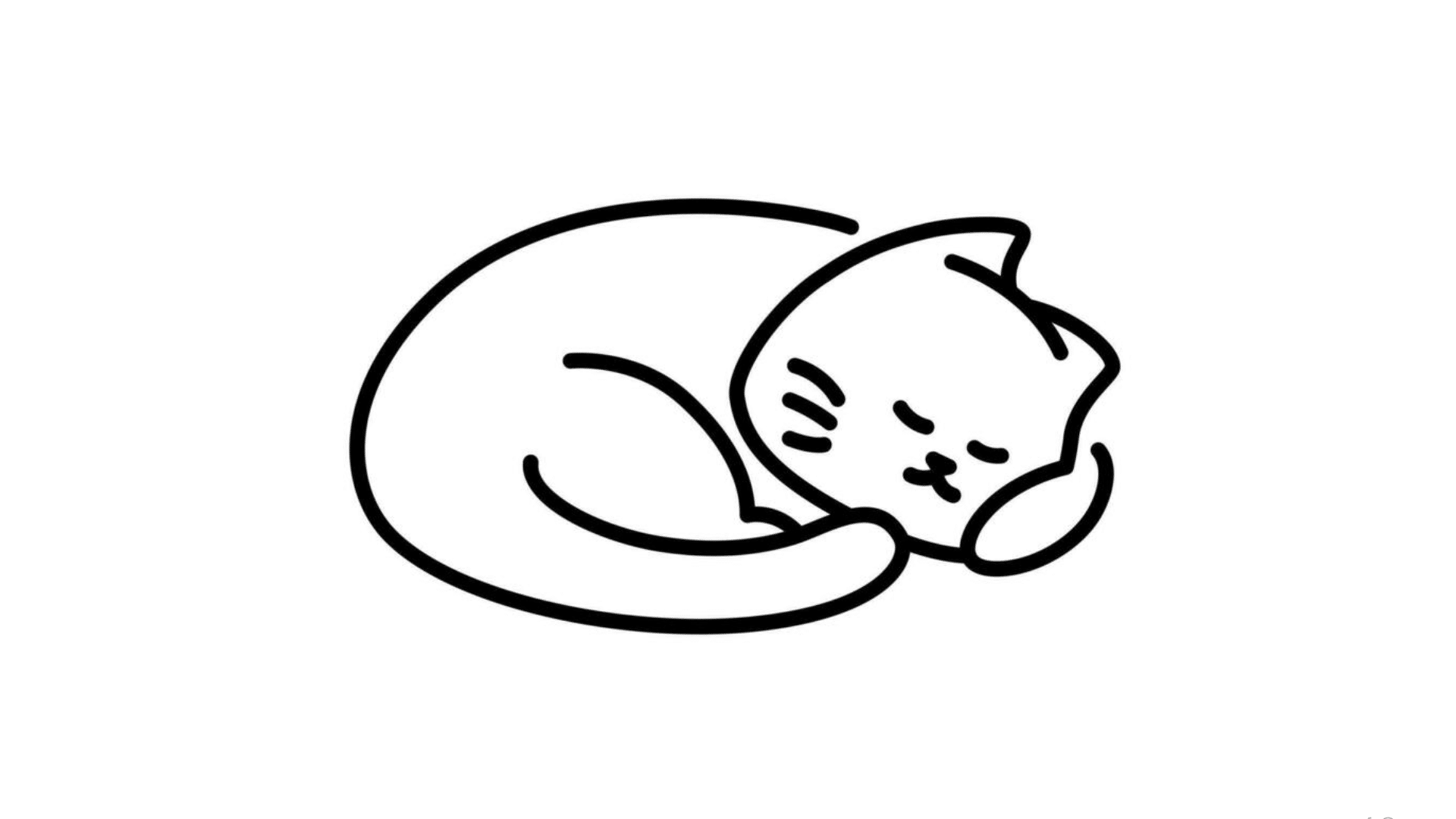Sleeping Cat
