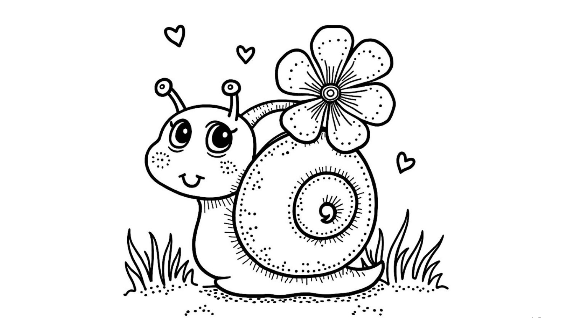 Snail with a House Shell