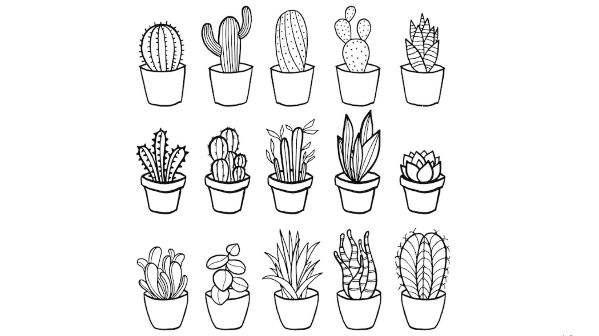 Tiny Cactus