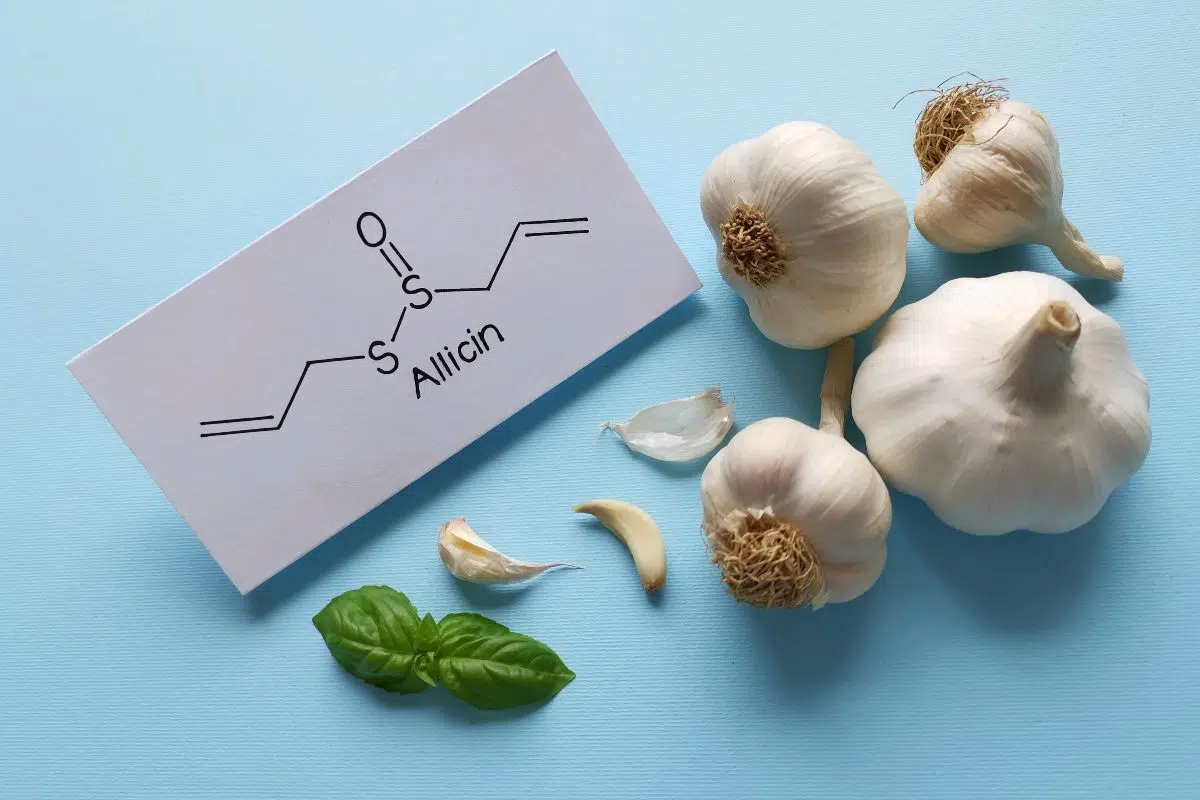 Active Compounds in Garlic
