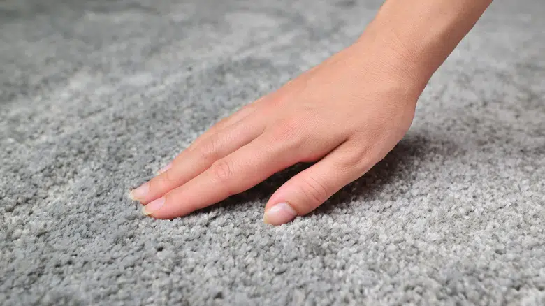 Protecting Your Carpet