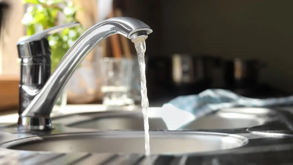 Water Quality And Maintenance