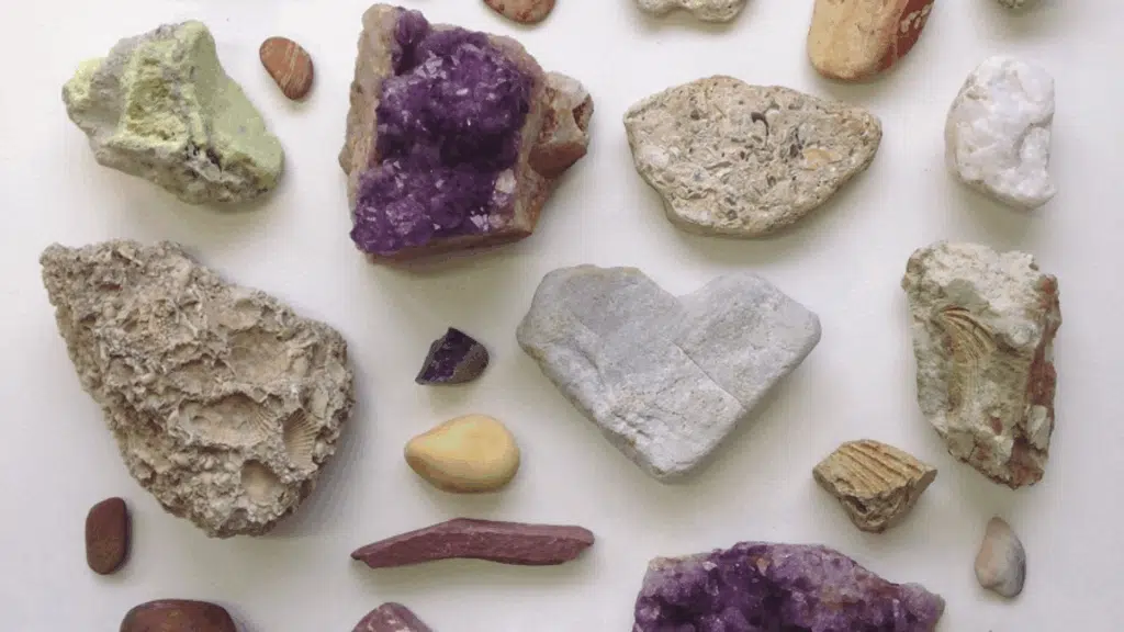 earth-science-for-kids-rocks-fossils-and-plates