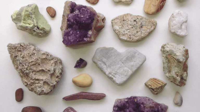 earth-science-for-kids-rocks-fossils-and-plates