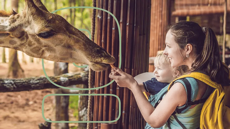 Wildlife Watching as a Learning Experience