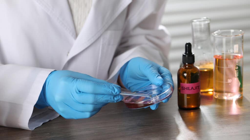 The Biochemical Composition of Shilajit: A Closer Look at Its Medicinal Properties